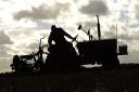 Vintage farm machines will compete at the Norfolk RABI charity ploughing match at Mautby Farms near Great Yarmouth on October 6