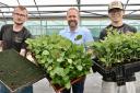 Harry Hoblyn, Toby Rush and Hector Loft of Rymer Trees and Hedging