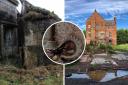 Do you know which of these abandoned buildings was recently demolished in County Durham?