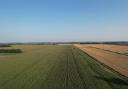 Norfolk County Council's 136 acre NCC Farm, Manea Fifties, Welney, forms part of the Welney Farms Estate