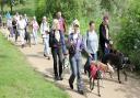 Participants of The Great Global Greyhound Walk at Ferry Meadows in 2016.