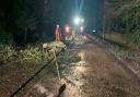 Police were forced to close Dowgate Road in Leverington this morning at around 4am after a tree fell down in heavy winds and took out power cables.