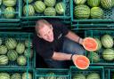 Nick Molesworth, manager of Oakley Farms in Wisbech stands amongst the watermelons at the Wisbech farm which has grown an estimated 11,000 watermelons this year.