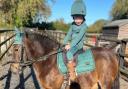 A GoFundMe page has been launched after a boy's pony tack was stolen.