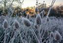 Julia Rigby captured this frosty morning in Huntingdon.