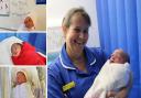 Some of Norfolk's newest 'leaplngs' born on February 29 this year