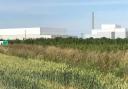 The government granted permission for the Wisbech incinerator in February.