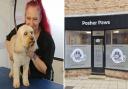 Tracey Dawson, owner of Posher Paws, with a canine customer