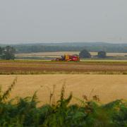 Property consultants say farmland north of the A47 between King's Lynn and Middleton would be suitable for a new hospital