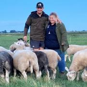 Matt and Floss Styles with sheep from the Micklewaite Flock in Whittlesey