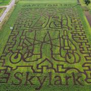 World’s largest tribute to NHS fundraiser Sir Captain Tom Moore unveiled at Skylark Garden Centre in Wimblington.