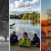 Joanna Thomson, Kim Taylor and Andrew Hart came out top in the parks photo competition to showcase both Cambridgeshire and Peterborough's brilliant parks.