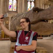 ’T.rex: The Killer Question' is a touring exhibition with animatronic dinosaurs from the Natural History Museum, London. It tackles the monster mystery: was T. rex a ferocious hunter or a mere scavenger?