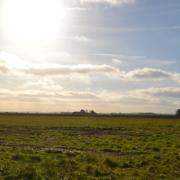 One of the projects being highlighted at COP26 in Glasgow is the restoration on the Great Fen in Cambridgeshire.