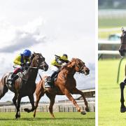 Newmarket Racecourses are preparing to welcome up to 4,000 spectators to the Rowley Mile course as lockdown restrictions are eased.