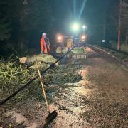 Police were forced to close Dowgate Road in Leverington this morning at around 4am after a tree fell down in heavy winds and took out power cables.