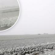 First pictures of the snow arriving in Cambridgeshire. Picture: Supplied/Ross Chapman