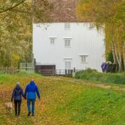 Dog walkers at Lode Mill.