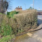 Townshend Road in Wisbech is currently closed following the discovery of a sinkhole. 