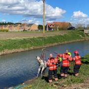 Magenta was rescued from the river by Cambridgeshire Fire and Rescue Service.