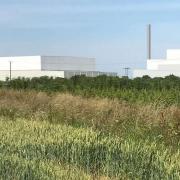 The government granted permission for the Wisbech incinerator in February.