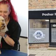 Tracey Dawson, owner of Posher Paws, with a canine customer