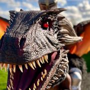 Folk can meet a fire breathing dragon this summer in Wisbech