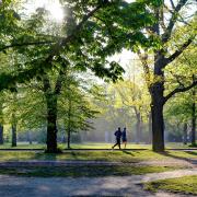 How many Parkruns have you tried in Cambridgeshire?