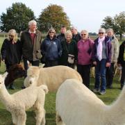 Friendship Month celebrated with 'frenergy' events in Wisbech